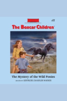 The_Mystery_of_the_Wild_Ponies